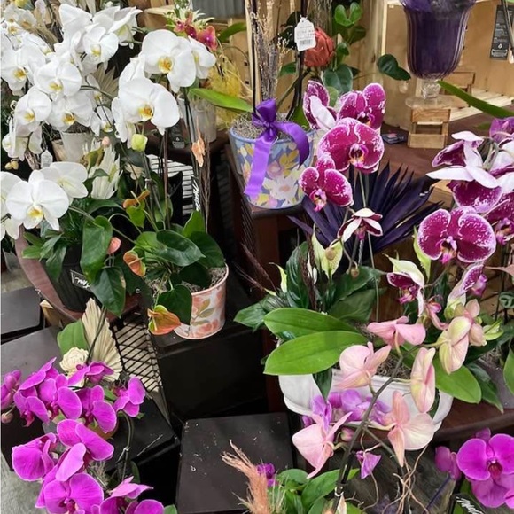 #3 Black multi function outfit by Anthropologie size ALL - Picture 7 of 7